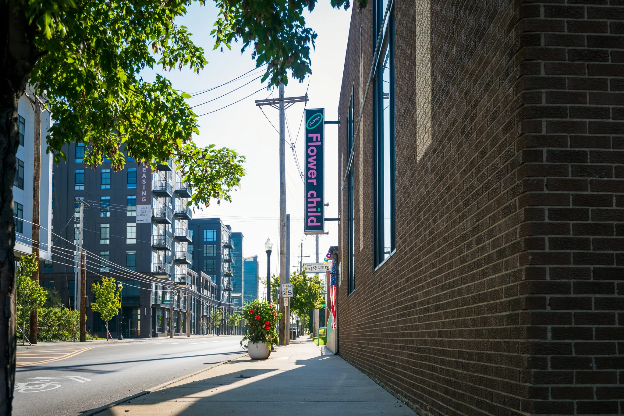 Urban street view with trees and buildings.